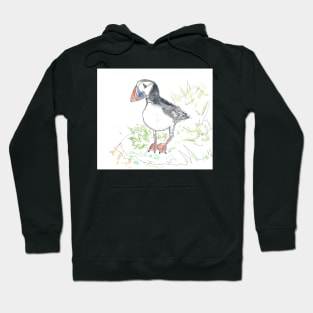 Puffin line drawing Hoodie